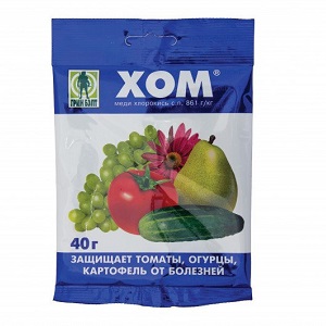 Pourquoi une fleur blanche apparaît-elle sur les concombres dans une serre et comment y faire face