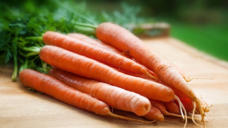 Pourquoi les carottes bouillies sont plus saines que crues
