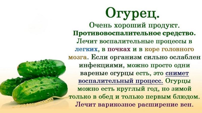 Les avantages et les inconvénients des concombres pour la santé humaine