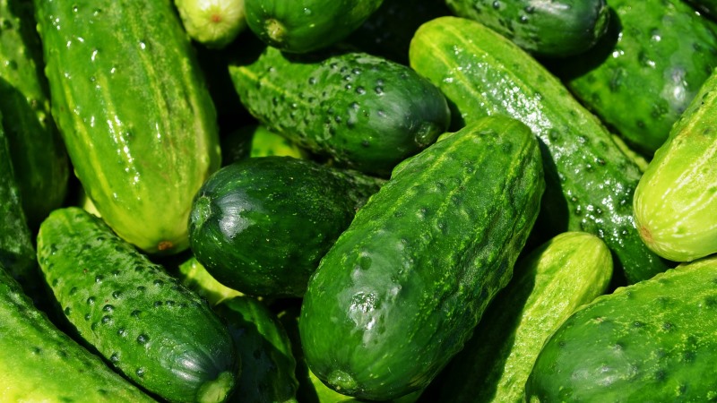 Les avantages et les inconvénients des concombres pour la santé humaine