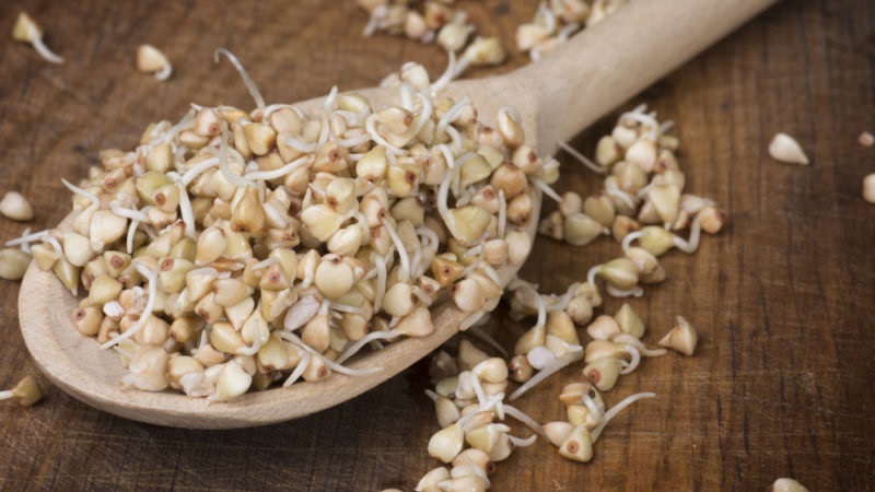 Les avantages et les inconvénients du sarrasin germé vert