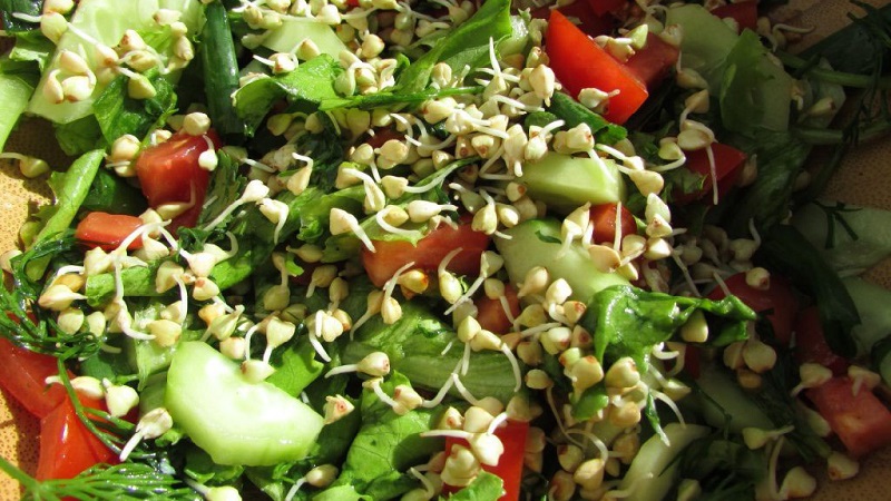 Les avantages et les inconvénients du sarrasin germé vert