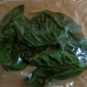 Comment bien congeler le basilic pour l'hiver: une sélection des meilleures façons