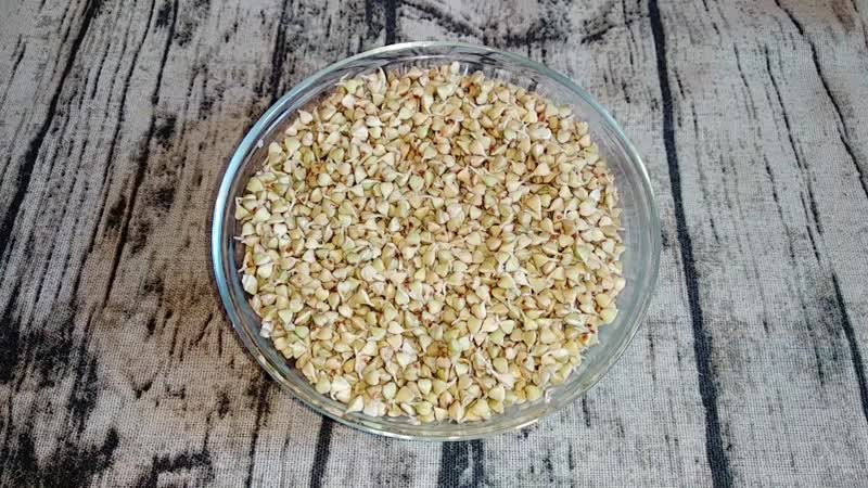 Comment faire germer correctement le sarrasin vert à la maison