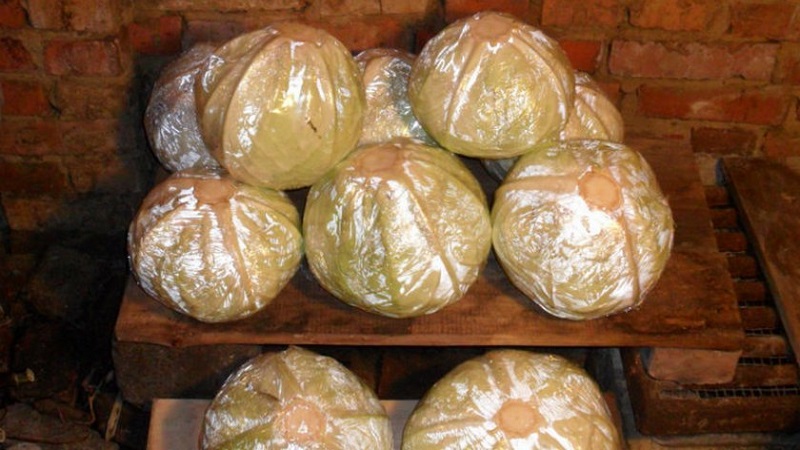 Des moyens éprouvés de garder le chou frais pour l'hiver