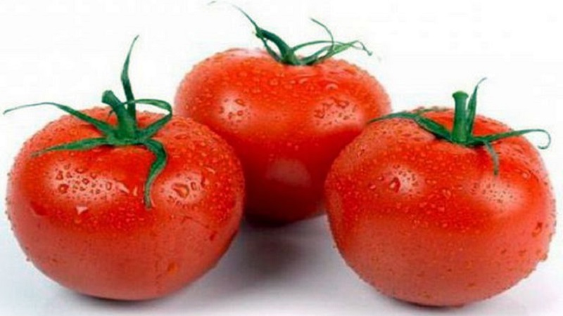 Variétés de variétés et hybrides de tomates et leurs caractéristiques
