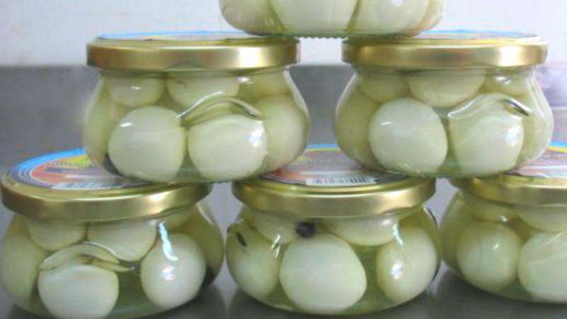 Oignons pour l'hiver en pots: comment bien saler