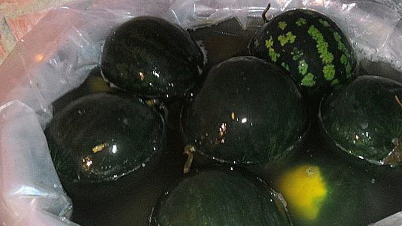 La recette classique des pastèques trempées dans un tonneau à la maison et diverses options d'additifs