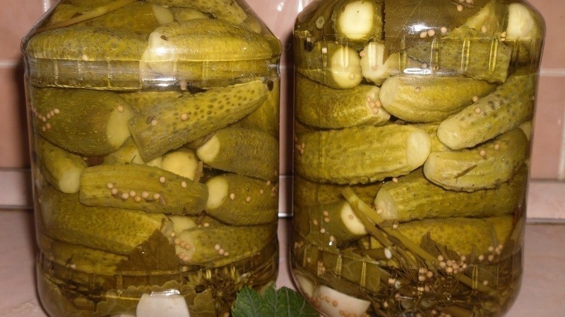Concombres croustillants dans des bocaux pour l'hiver: recettes de marinage au vinaigre