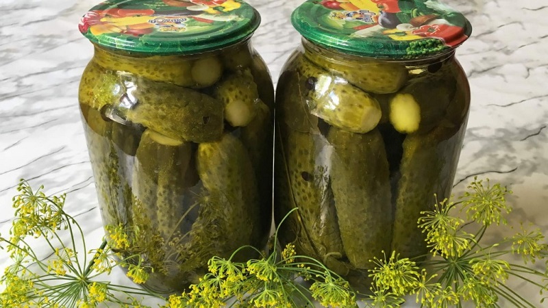 Concombres croustillants dans des bocaux pour l'hiver: recettes de marinage au vinaigre