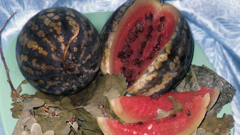 De délicieuses recettes de pastèque trempée: dans un pot, un pot et un tonneau