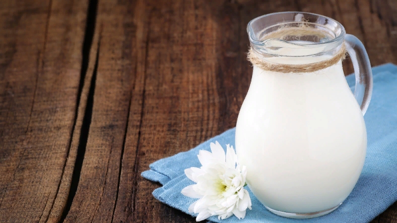 Compatibilité de la pastèque avec le lait et d'autres produits