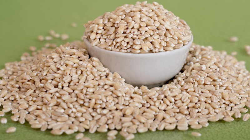 Analyse comparative du sarrasin et de l'orge perlé: quelle céréale est la plus saine, laquelle est la plus nutritive