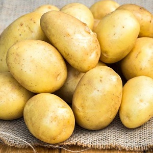 Variété de pomme de terre moyennement précoce résistante aux maladies - Bryansk Delicacy