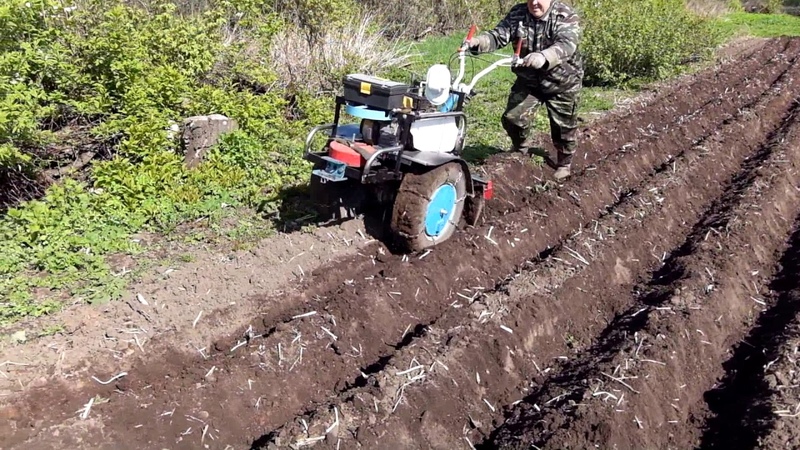 Technologie de plantation de pommes de terre avec un tracteur à conducteur marchant