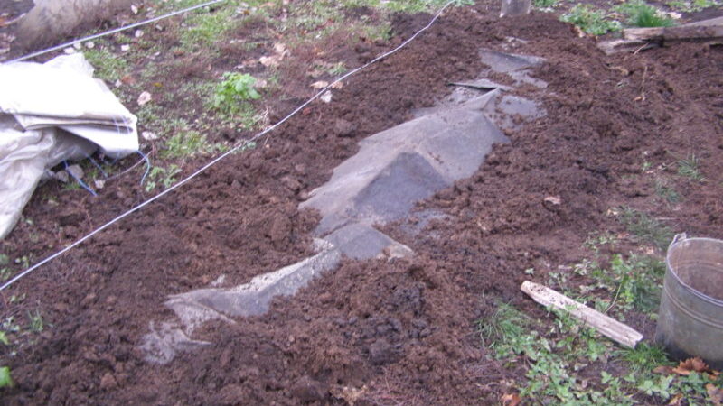 Caractéristiques du réchauffement des raisins dans la région de Moscou: comment et quand il est préférable de se couvrir pour l'hiver