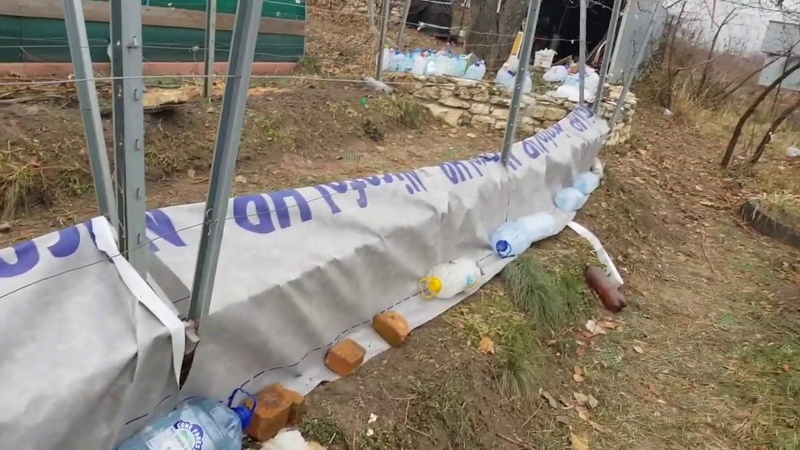 Caractéristiques du réchauffement des raisins en Sibérie: comment bien se couvrir pour l'hiver