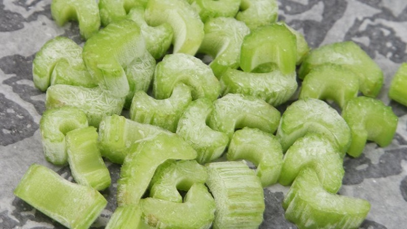 Comment congeler le céleri pour l'hiver et est-il possible de conserver les propriétés bénéfiques