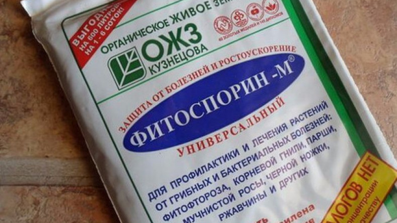 Comment traiter la floraison blanche sur les feuilles de cassis: produits chimiques et remèdes populaires