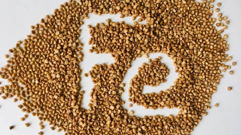 Pourquoi le sarrasin est-il utile pendant la grossesse et combien de temps peut-il être consommé