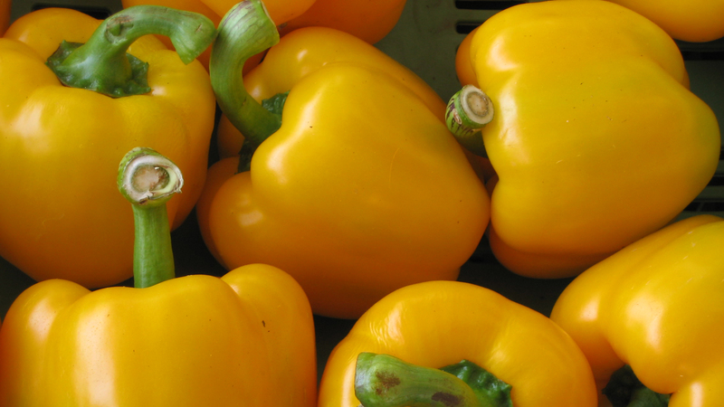 Caractéristiques et description des variétés de poivron jaune