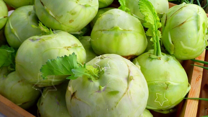 Quel est le nom du chou qui ressemble au navet