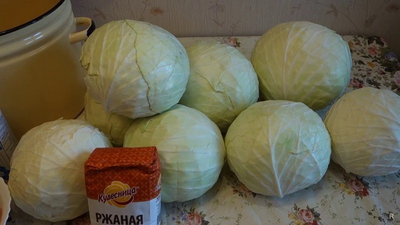 Comment conserver correctement le chou dans le congélateur, le réfrigérateur et sans dispositifs de refroidissement