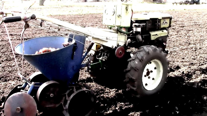 Comment planter correctement des pommes de terre, une description des meilleures façons de semer des pommes de terre