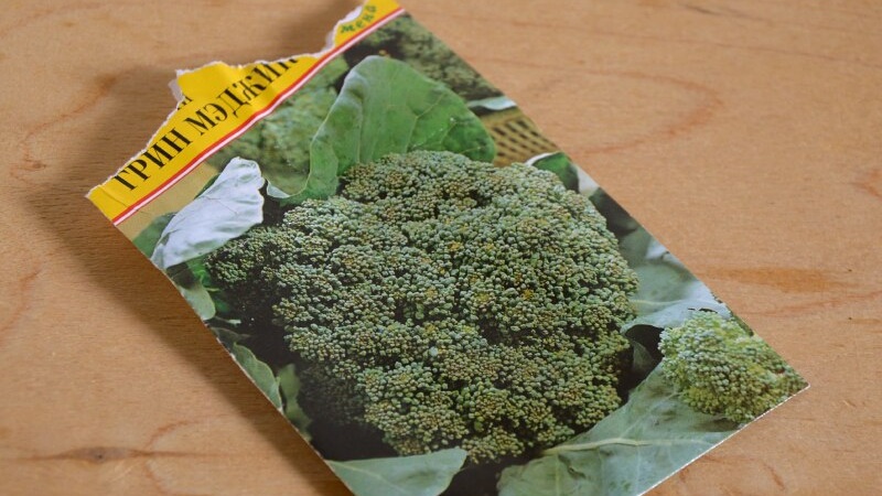 Brocoli Green Magic F1: description, caractéristiques de culture, avis