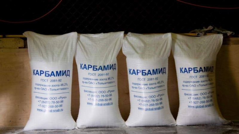 Comment et pourquoi utiliser l'urée après la floraison du blé