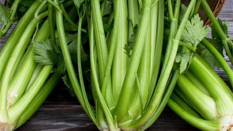 Les meilleures variétés de céleri pédonculé: Pascal, Atlant, Utah et autres
