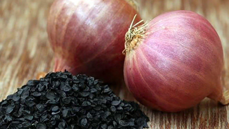 Recommandations des jardiniers expérimentés: est-il possible de semer des oignons noirs avant l'hiver et quand le faire