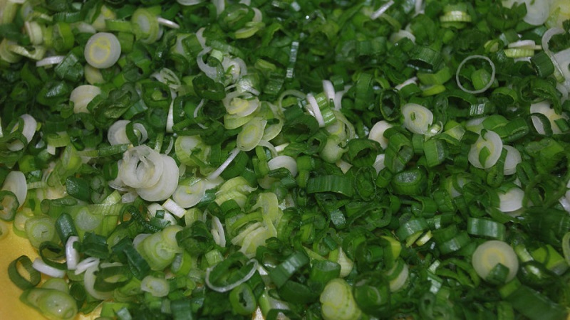 Nous préparons les légumes verts pour l'hiver: est-il possible de congeler des oignons verts et comment le faire correctement