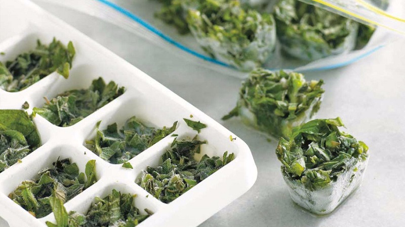 Nous préparons les légumes verts pour l'hiver: est-il possible de congeler des oignons verts et comment le faire correctement