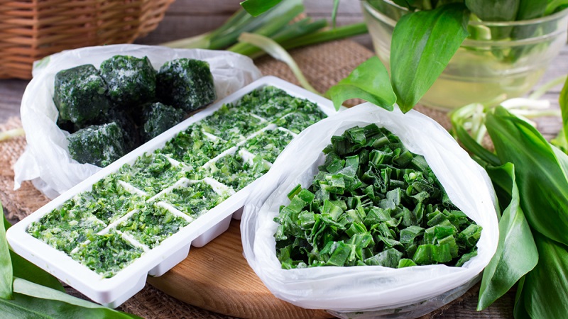 Nous préparons les légumes verts pour l'hiver: est-il possible de congeler des oignons verts et comment le faire correctement