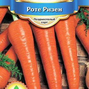 Caractéristiques de la variété de carottes Rote Riesen: description, technologie agricole, avis