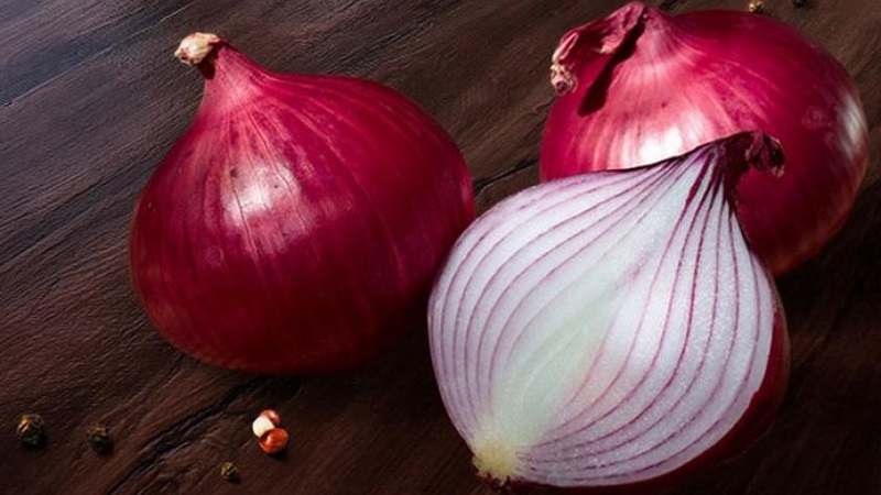 Caractéristiques des propriétés de croissance et utiles des oignons rouges