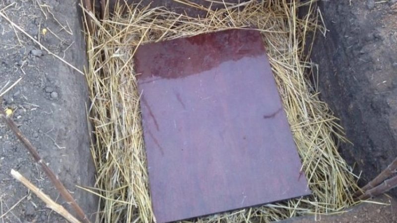 Caractéristiques d'un bon stockage des pommes de terre: de A à Z