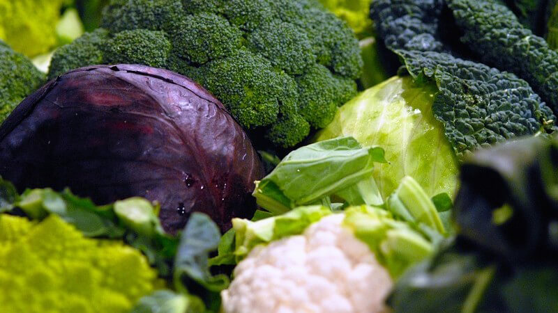 Combien de calories contient le chou frais