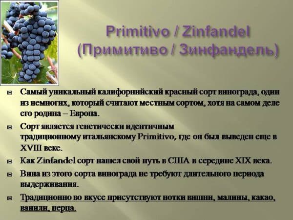 Raisin Primitivo à peau foncée à maturation précoce