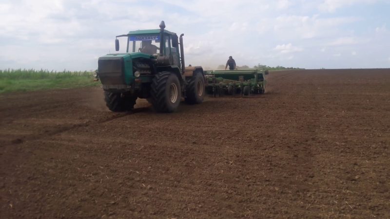 Dates et taux de semis de mil avec une méthode de semis ordinaire et un soin supplémentaire des plantations