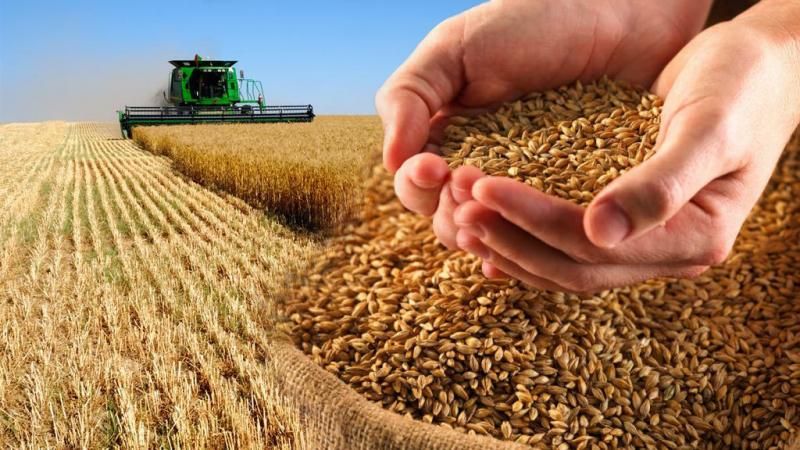 Termes, règles et méthodes de stockage du blé à l'échelle industrielle et à domicile