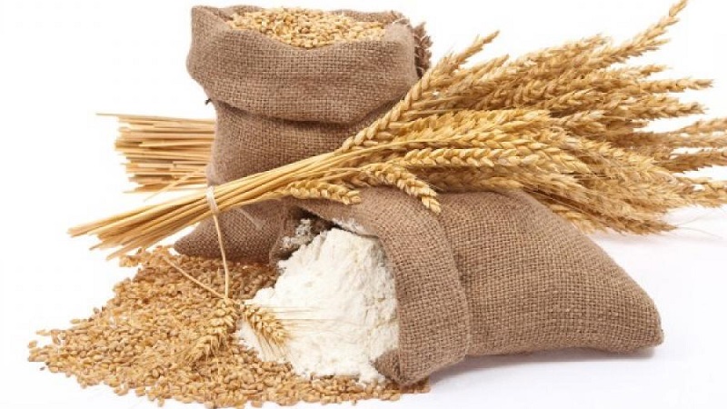 Technologie de culture du blé de la préparation du semis à la récolte