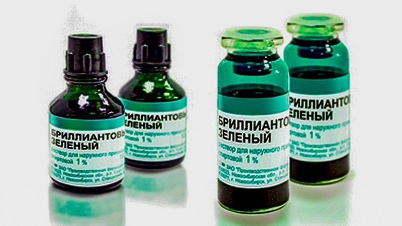 L'iode et le vert brillant à la rescousse: les secrets de la transformation des concombres pour une meilleure récolte