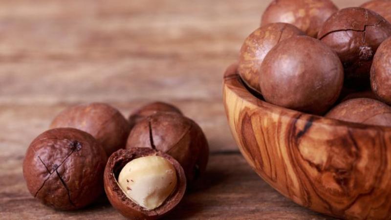 En quoi la noix de macadamia est-elle bonne pour le corps?