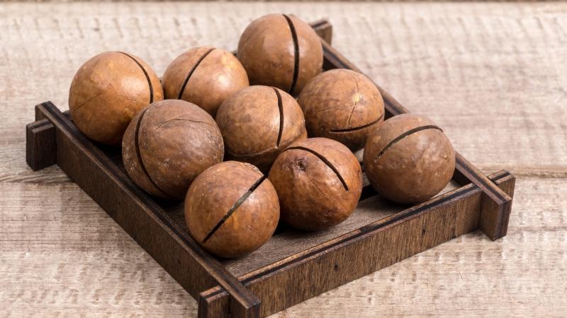 En quoi la noix de macadamia est-elle bonne pour le corps?