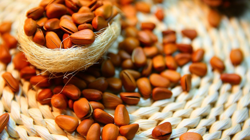 Pourquoi les pignons de pin sont-ils utiles pour les femmes?