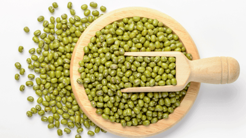 Que sont les haricots et en quoi sont-ils différents des haricots