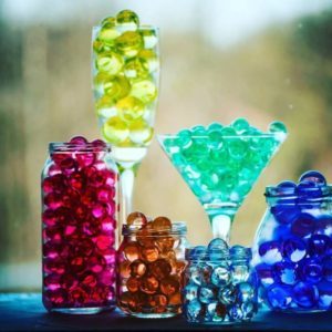 Guide des boutures de pétunia d'été pour les fleuristes débutants