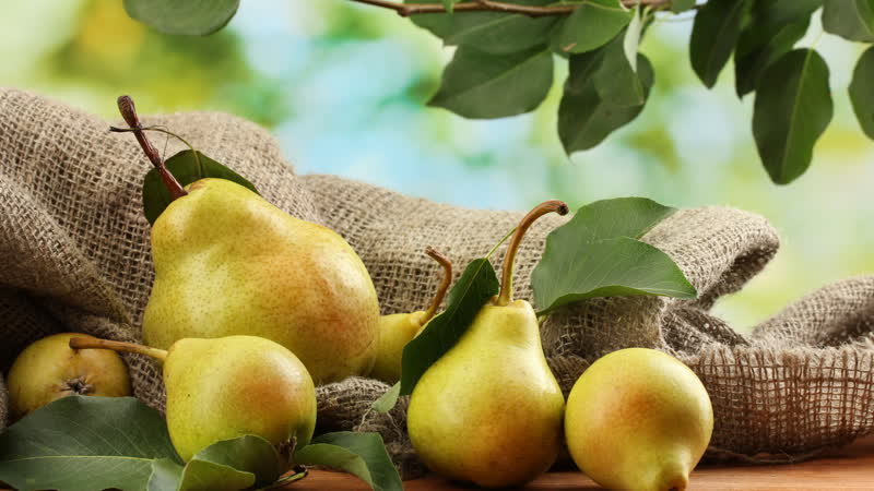 La composition chimique d'une poire, sa teneur en calories et ses avantages et ses inconvénients pour la santé